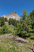 Dalla sponda Est del Lago Devero si ha piena visione della val Deserta e delle cime circostanti (pizzo Fizzo, punta di Valdeserta e Albrunhorn). 